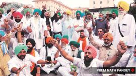 farm bills, farm laws, farmer protests, farmer protests Punjab, Punjab farmer protests, farmer protests survey, India news, Indian Express