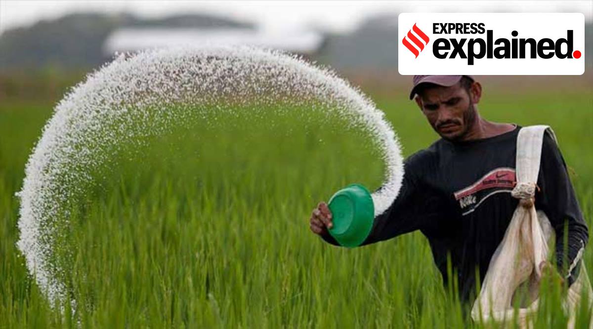 explained-how-fertiliser-subsidy-works-explained-news-the-indian