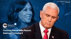 Mike Pence, Mike Pence fly, Mike Pence fly video, Fly on Mike Pence, Vice presidential debate, Vice presidential debate fly, Kamala harris, trending, indian express, indian express news