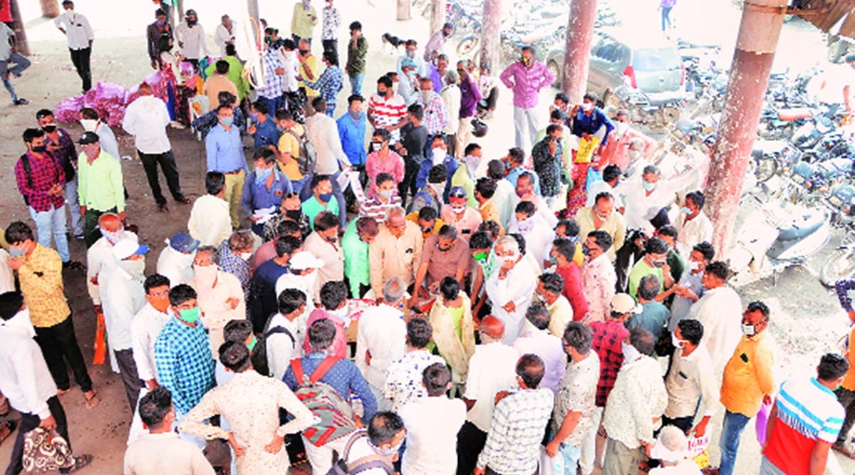 Gujarat State Civil Supplies Corporation Limited, gujarat ground nut procurement, gujarat ground nut procurement registration, indian express news