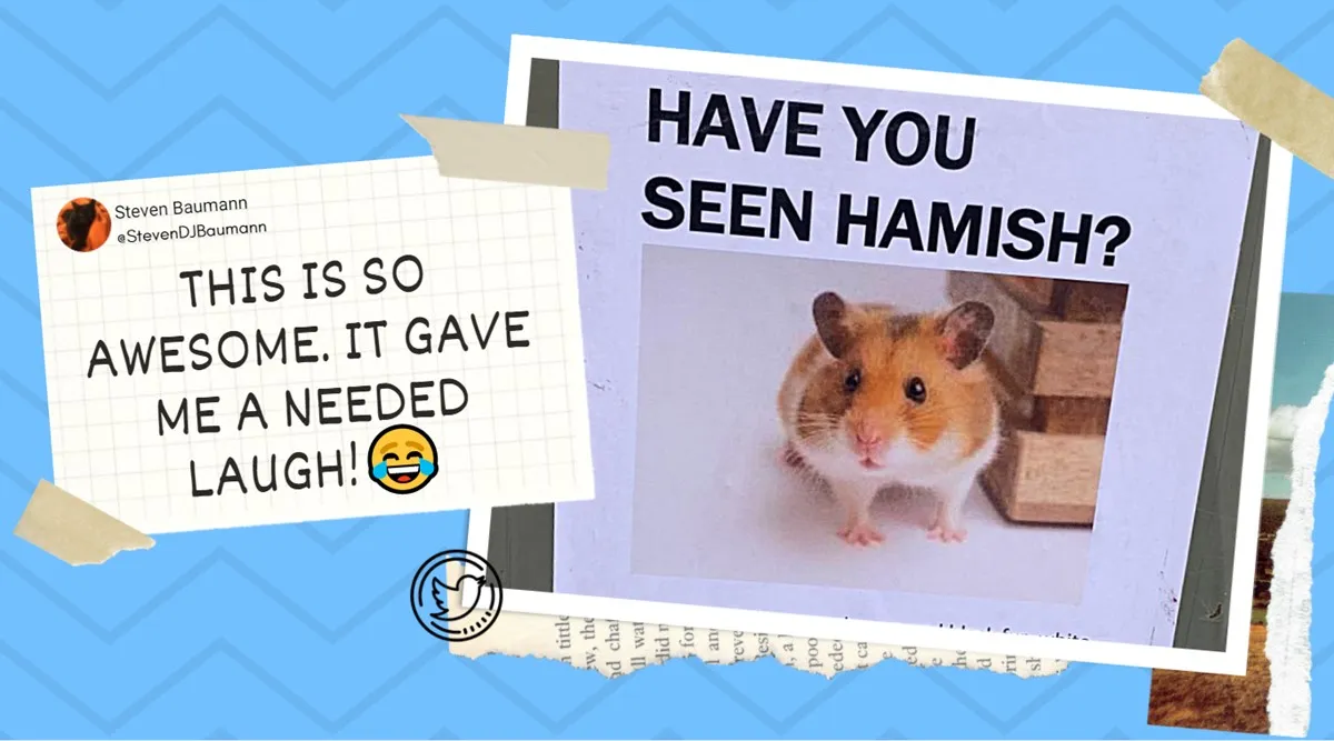 This Missing Hamster Story Has An Unexpected Twist And Netizens Can T Have Enough Of It Trending News The Indian Express