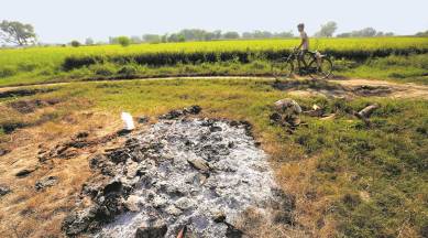 Looking for a 19-year-old