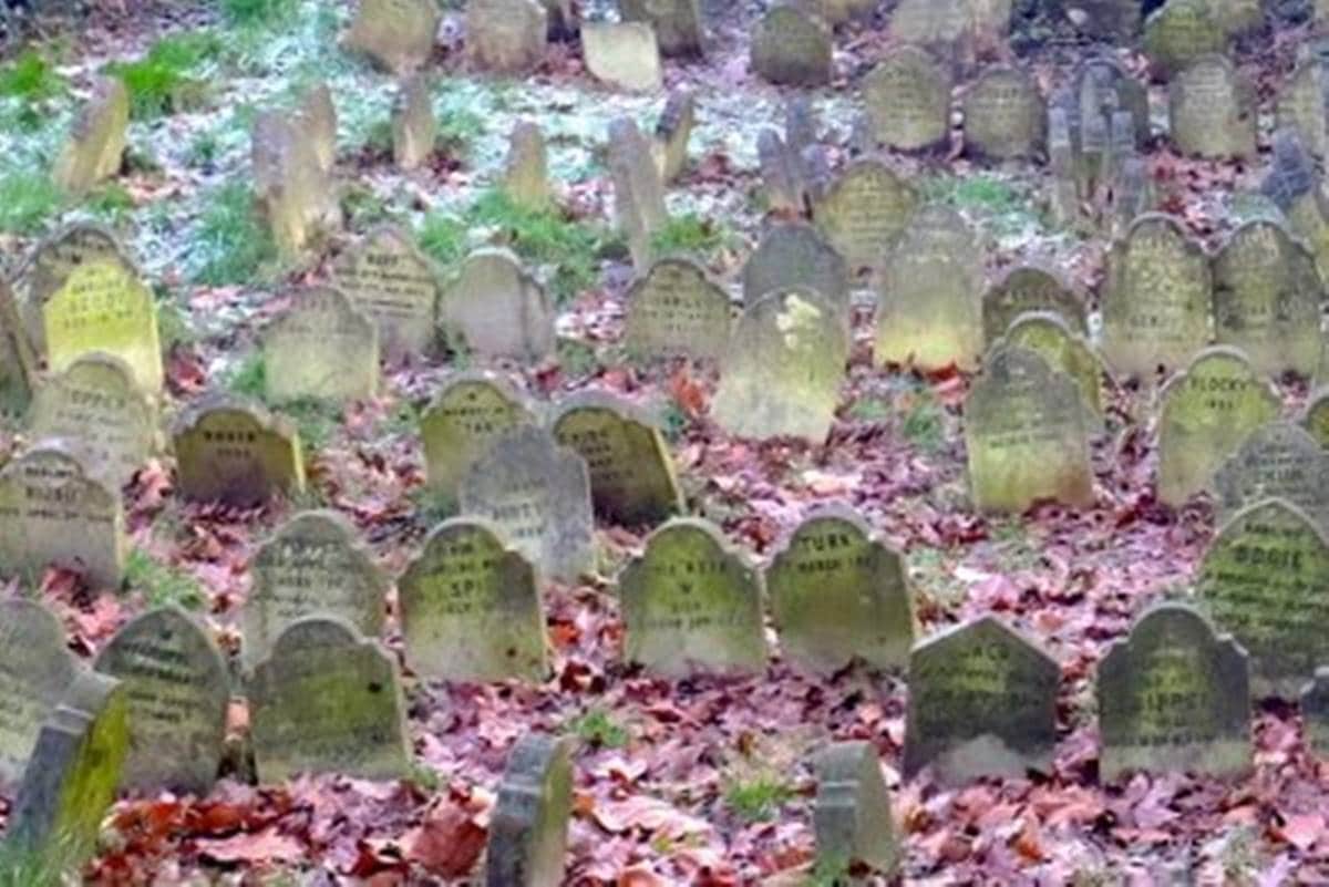 pet cemeteries, pet cemeteries India, how people mourn pets, mourning rituals pet, man animal relationship, express explained, indian express, Eric Tourigny 