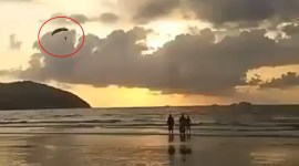 indian navy captain indian navy captain accident, Madhusudhan Reddy, navy capitain motor glider accident, karwar, karwar accident, indian express