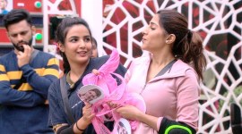 nikki tamboli jasmin bhasin bigg boss 14