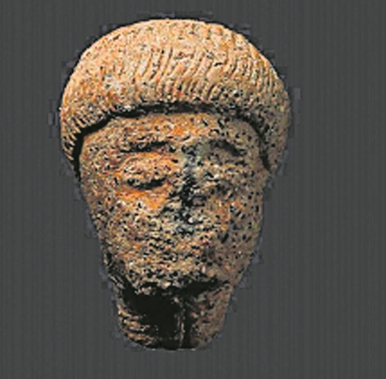 In uncle’s backyard, student finds stone linking Kerala to Roman empire