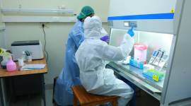 Kerala covid cases, Kerala coronavirus cases, Kerala covid deaths, Kerala terminates medical staff, Kerala medical staff termination, India news, Indian Express
