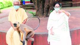 west bengal coronavirus latest update, bengal covid cases, bengal covid testing, bengal forensic test truck tyres, bengal covid dhabas