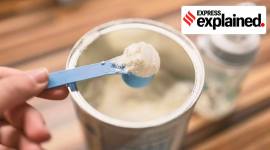 Explained: Why Gujarat has glut of milk powder and why export could help