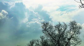 mumbai rains, mumbai weather, mumbai air, mumbai air quality, imd, imd mumbai weather forecast, mumbai smog, mumbai city news