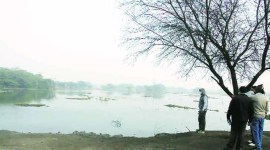 Sultanpur National Park, Sultanpur National Park draft, Sultanpur National Park gurgaon, gurgaon news
