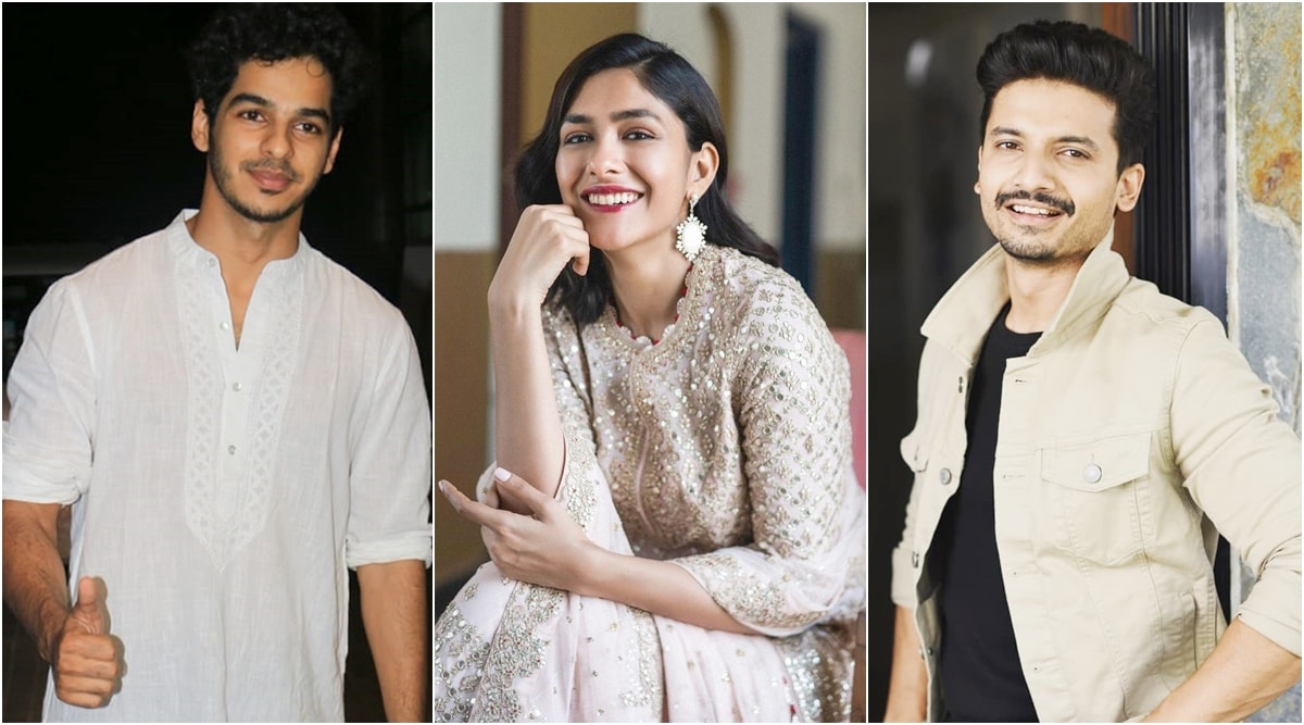 Priyanshu Painyuli Mrunal Thakur ishaan khatter pippa