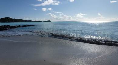 Caribbean country Antigua and Barbuda, Antigua and Barbuda remote work visa, working from Antigua and Barbuda, travel, pandemic, indian express news