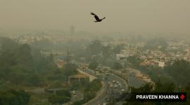delhi pollution, delhi ncr pollution, Delhi air pollution, Delhi air quality index, delhi aqi, Prakash Javadekar, delhi city news