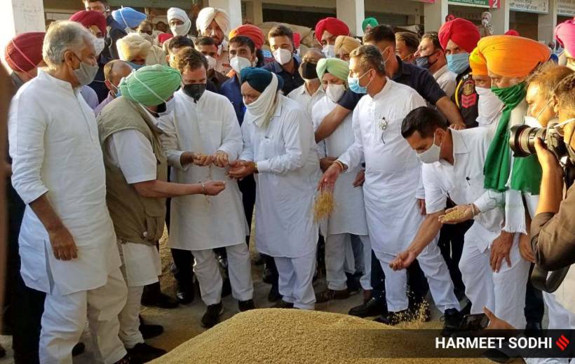 farmer protest, rahul gandhi, rahul gandhi farmers protest, farmer rally, farmer rally today, punjab farmer protest, punjab farmer protest live news, rahul gandhi farmers rally, farmers protest in punjab, farm bill 2020, farm bill news, farmer protest in haryana, farmer protest today, farmer protest latest news, farmer protest today news, farmers protest, farmers protest today, farm bill, farm bill news, farm bill latest news, farmers protest in haryana