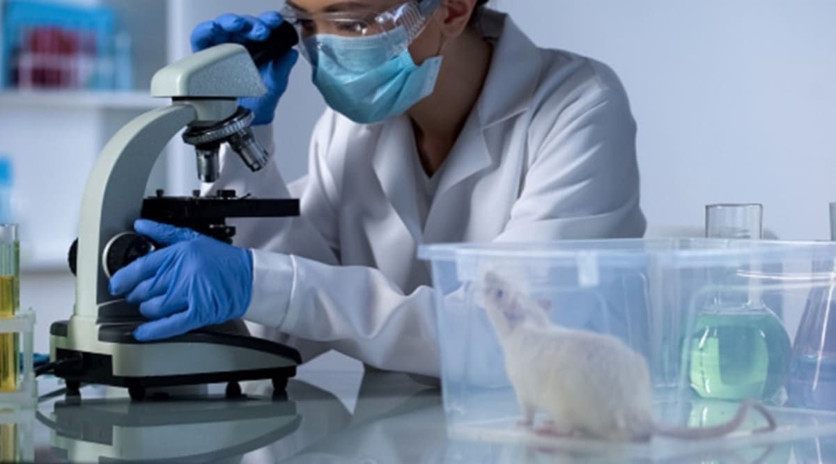 Agharkar Research Institute, University of Hyderabad, Researchers find molecules in hydra, molecules in hydra cells talking to each other, cells contact with each other, indian express news
