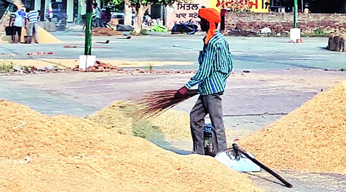 farmers protest, tractor rally, farm bills, Rahul Gandhi, Sukhbir Singh Badal, chandigarh news, Punjab news, Indian express news