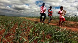 capt amrinder singh, punjab education, punjab best school, punjab student school scholarship, EWS student scholarship, punjab college reopen, education news