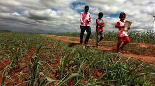 capt amrinder singh, punjab education, punjab best school, punjab student school scholarship, EWS student scholarship, punjab college reopen, education news