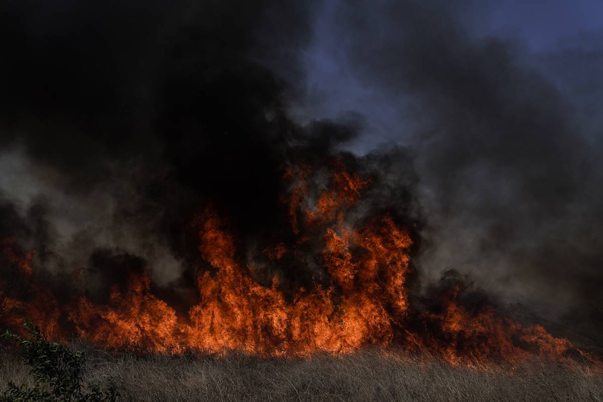 California Wildfires, California Wildfire Explained, California Wildfire Cause, California Wildfire Evacuation, California Wildfire News, Wildfire Climate Change, Climate Impact of Baby Showers, Wildfire Reasons from California, Indian Express