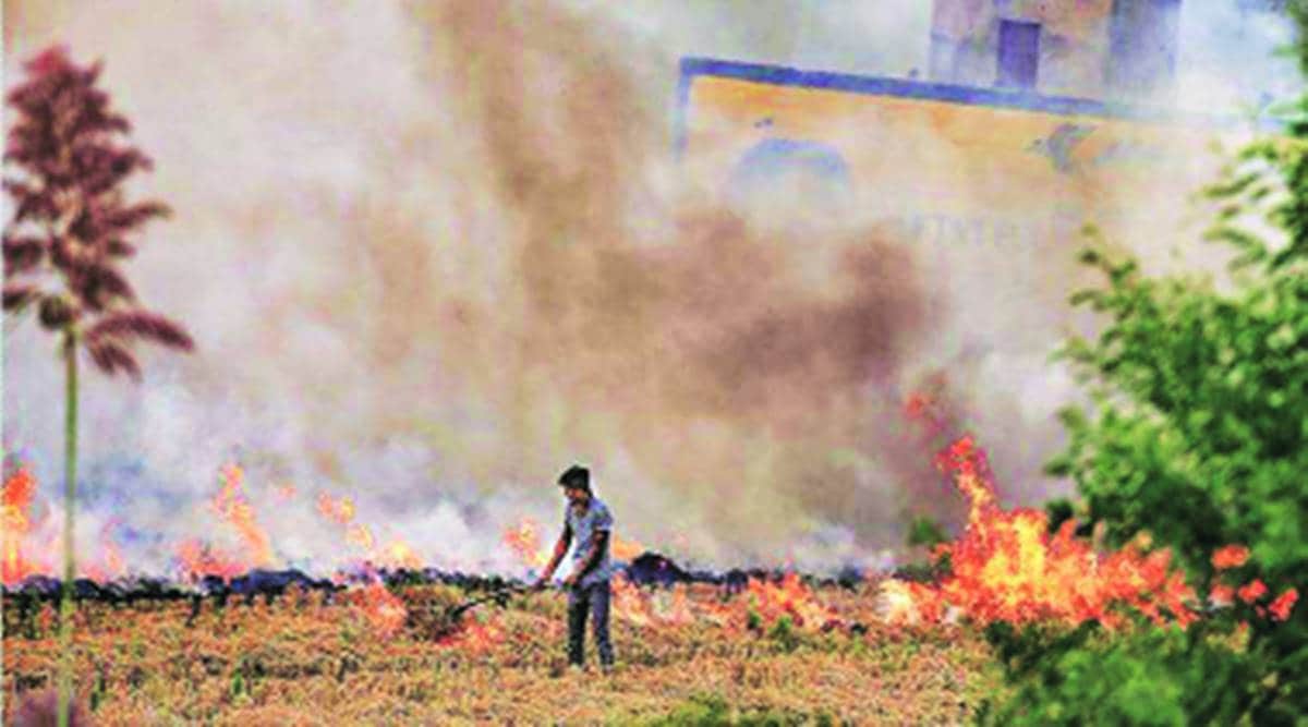 control rooms on curbing pollution, Haryana Chief Secretary Vijai Vardhan, Haryana pollution, Chandigarh news, Haryana news, indian express news