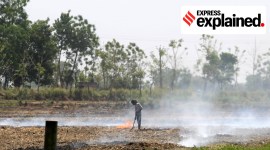 Punjab, Punjab stubble burning, Punjab AQI, Punjab air pollution, Delhi NCR pollution, Indian Express