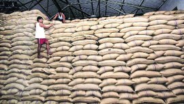 maharashtra sugar cane season, maharashtra sugar cane mills, bjp sugar cane mills, ncp sugarcane mills, sugar cane mills loan guarantee, sugar cane mills loan guarantee amount, Indian express news