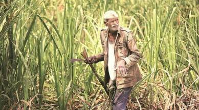 farmers, fertilizers, farmer fertilizer purchase, goverment scheme on fertilizers, Farm Bills, India news, indian express