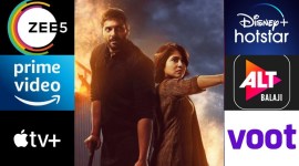 mirzapur 2, what to watch
