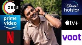 what to watch on october 2