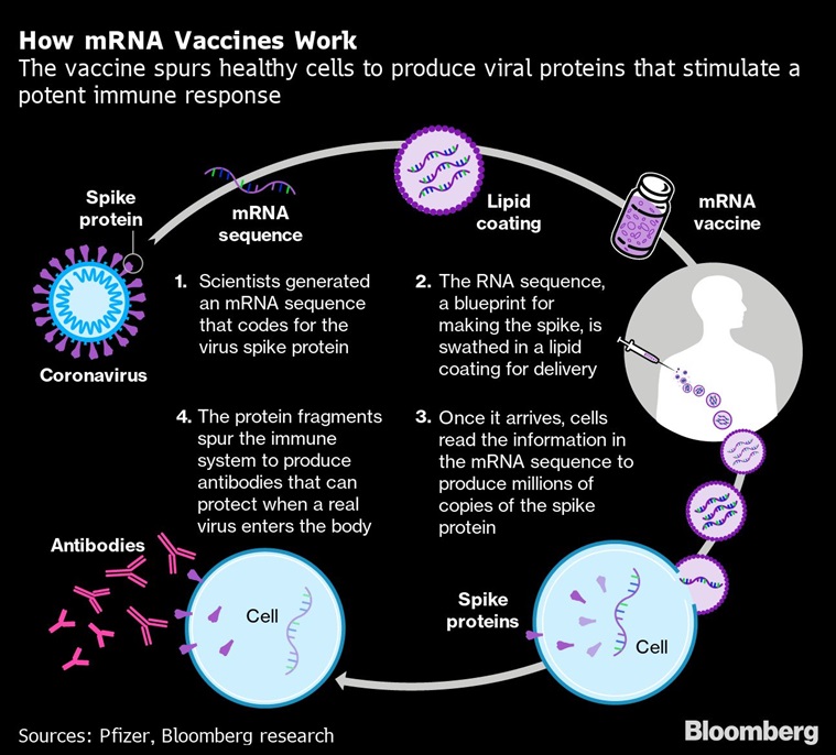 What is mRNA vaccine?
