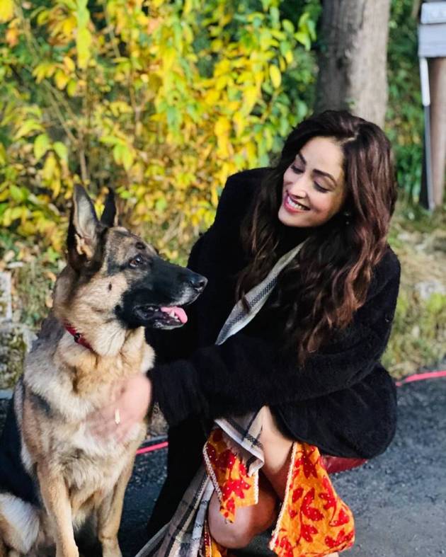 yami gautam