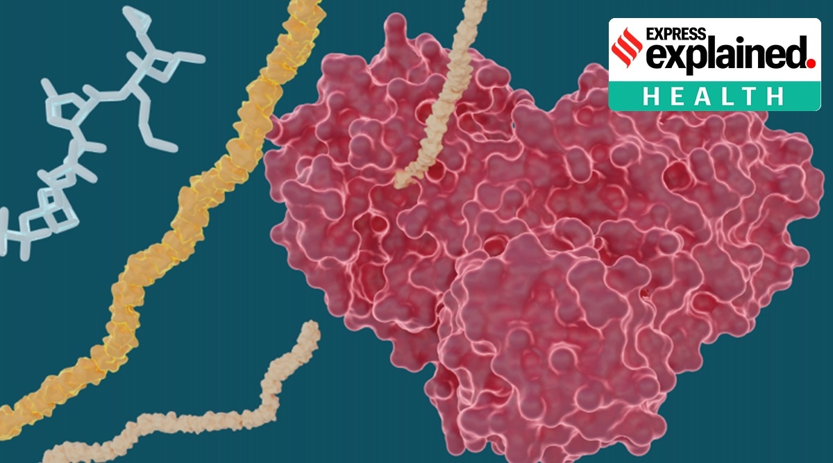 New research: Hepatitis C drugs shown to inhibit coronavirus enzyme