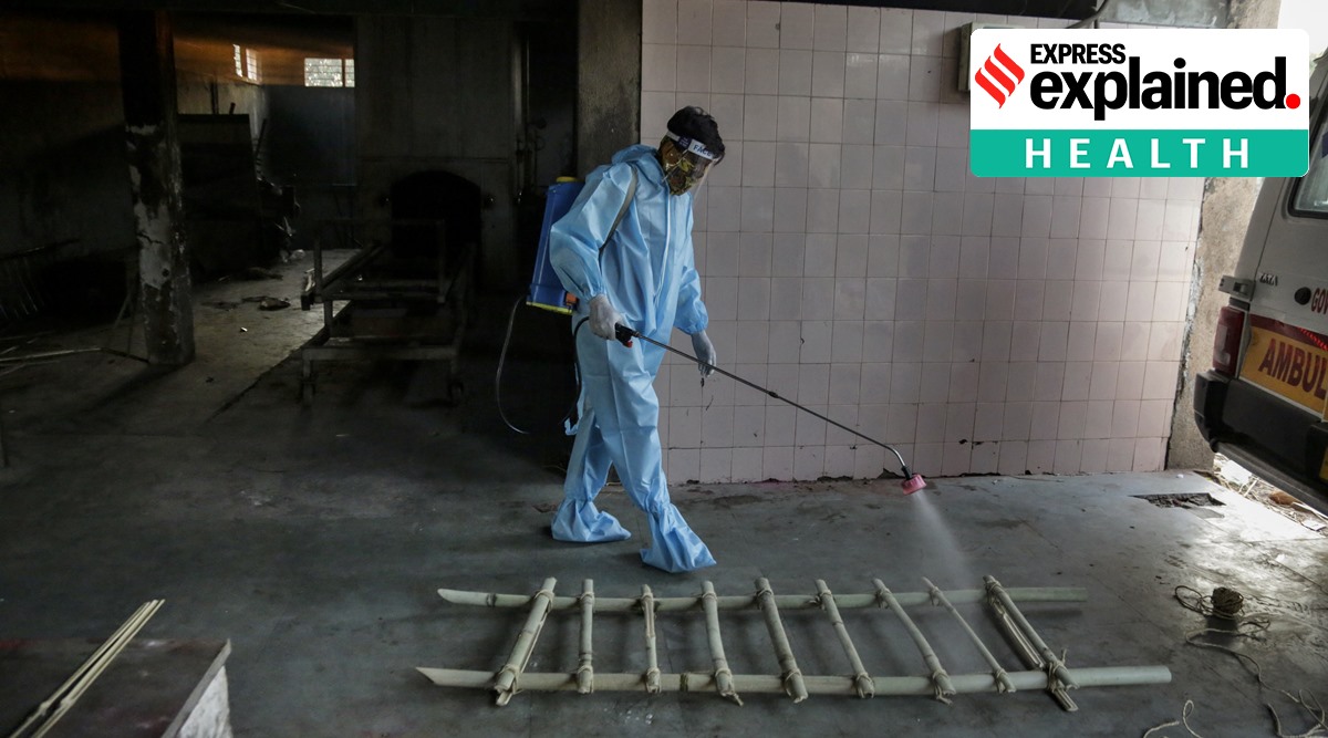 A municipal worker disinfects a bier before cremation of a man who died of Covid-19 related complications in Ahmedabad, Sunday, Nov. 29, 2020. (AP Photo: Ajit Solanki)