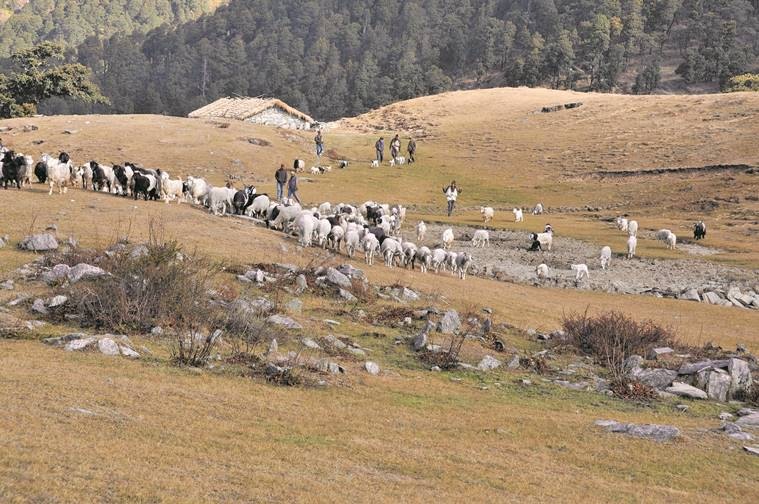 uttarakhand