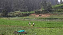 Sillahalla Pumped Storage Hydroelectric Project (SPSHEP), tamil nadu niligiris district, niligiri tamil nadu hydroelectric project, Bembatty village on Sillahalla stream