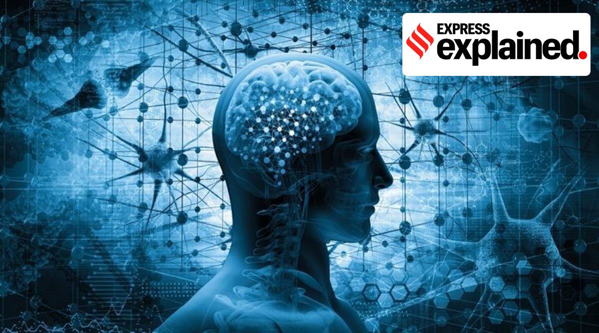 Explained: The accused in Hathras rape case will undergo brain fingerprinting. What is it?