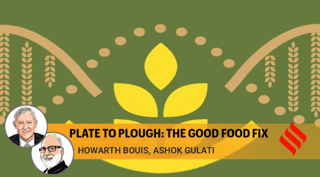 World Food Day, India farmers, farmers scheme, farmers fertilizres, farmers crop,. farmers protets, india hunger