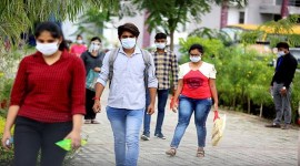 ICAI, ICAI CA exams, ICAI CA November exams, icai.org, icai admit card, education news