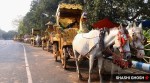 coronavirus, coronavirus news, live news, coronavirus today news, covid 19 vaccine, coronavirus india, coronavirus india news, corona cases in india, india news, coronavirus news, covid 19 india, corona news
