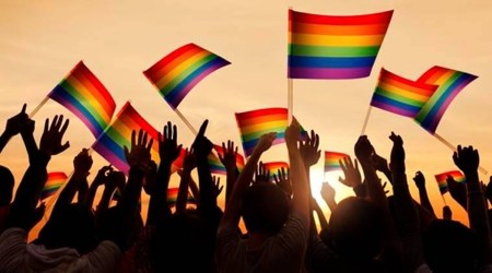 Maharashtra queer network, Maharashtra to launch queer network, LGBTIQA, Bindu Queer Rights Foundation, Maharashtra news, Pune news, Indian express