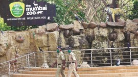Elephant Laxmi, Byculla zoo’s oldest animal, dies