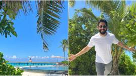 Naga Chaitanya birthday