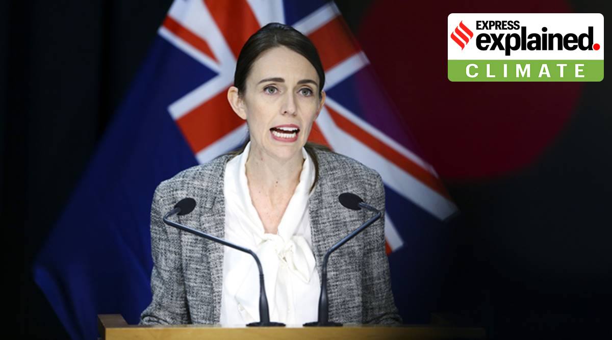 In its ongoing online petition, Greenpeace New Zealand is urging the government to declare a climate emergency since people are “facing more extreme weather events, catastrophic loss of wildlife and a crisis over access to freshwater and food”.