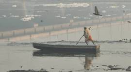 delhi jal board, delay in felling trees, delhi enws, delhi yamuna, Delhi govt, Indian express