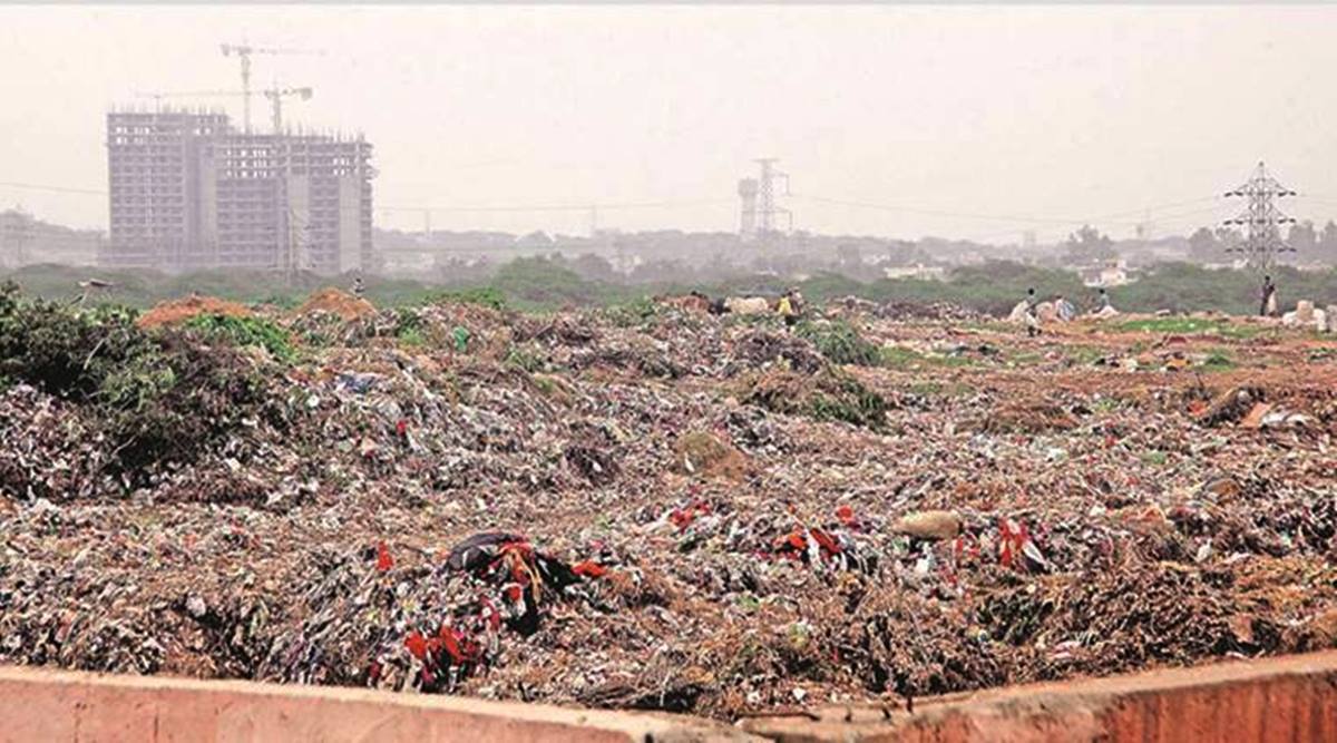 Civic Affairs In Panchkula In Tatters- Garbage Woes On The Rise ...