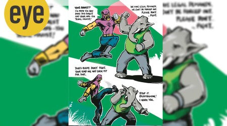 Divide and Fool: A page from the comics