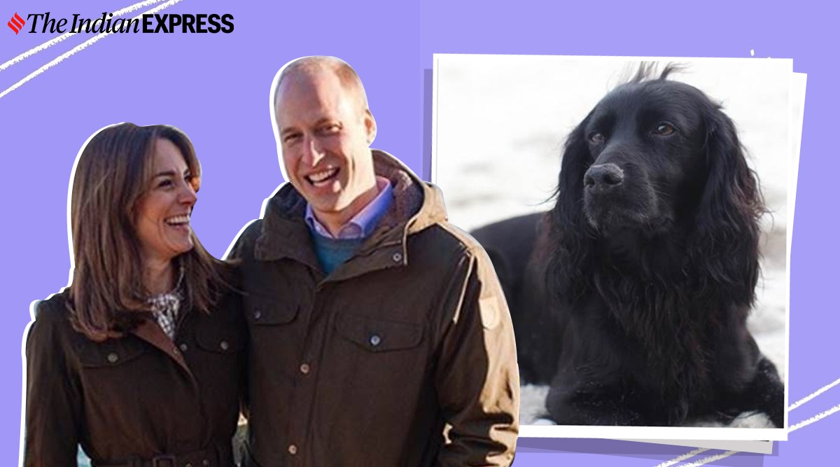 Prince William and Kate Middleton, Duke and Duchess of Cambridge, William and Kate and pet dog Lupo, royal pet Lupo, UK royals, indian express news