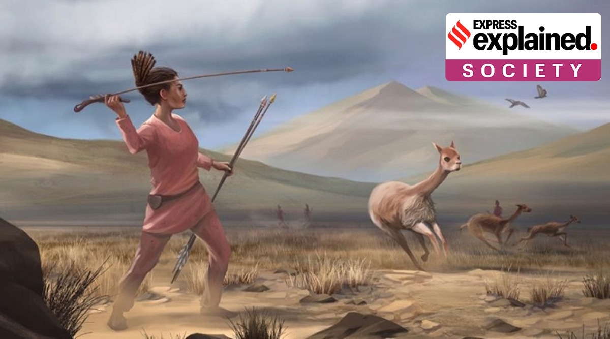 Illustration of a female hunter depicting hunters who may have appeared in the Andes 9,000 years ago. (Credit: Matthew Verdolivo/UC Davis IET Academic Technology Services)

