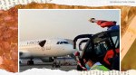 Kolkata, Kolkata airport, Air Vistara, Kolkata airport viral video, Kolkata trending, beehive, indian express, indian express news